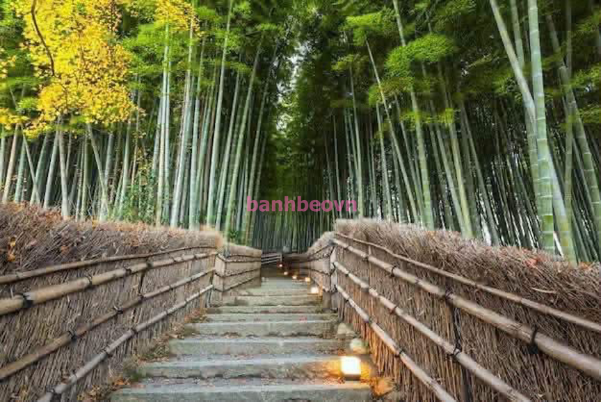 QUỲNH ANH  _ XINH DÂM ĐÁNG YÊU _ CHIỀU KHÁCH NHƯ NGƯỜI TÌNH